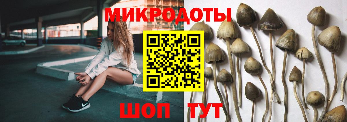 Егорьевск  Галлюциногенные грибы прущие грибы  Псилоцибиновые грибы мицелий  Вход с VPN 